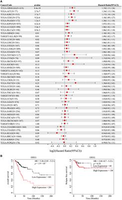 EREG is a risk factor for the prognosis of patients with cervical cancer